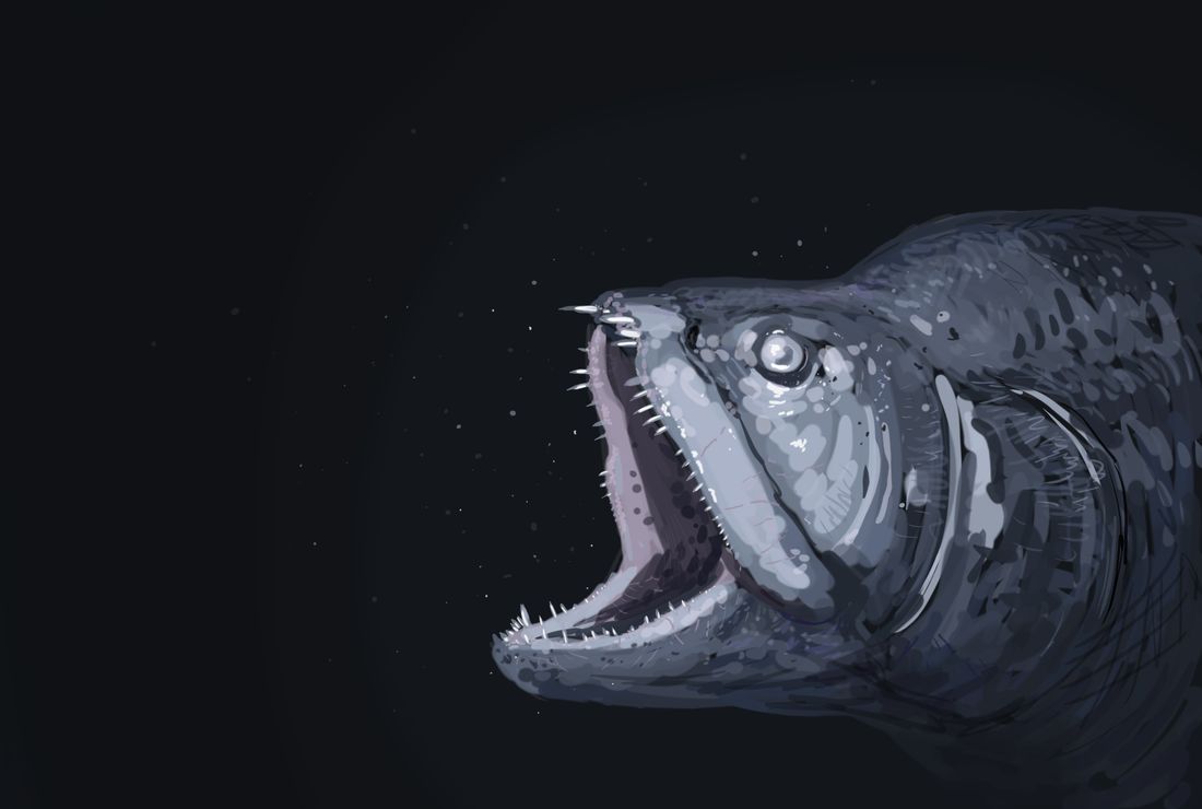 The fish-within-a-fish, art by Joschua Knüppe